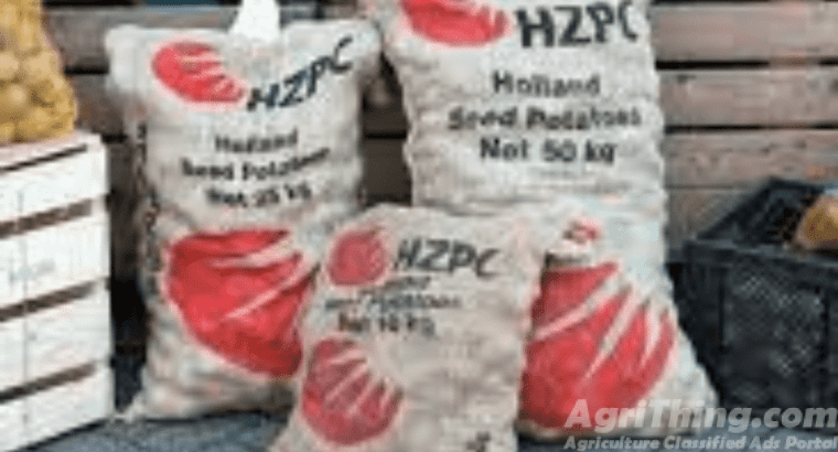 Potao Seed 25kg Hzpc Holland Seed Potato