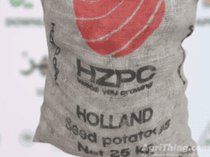 Potao Seed 25kg Hzpc Holland Seed Potato