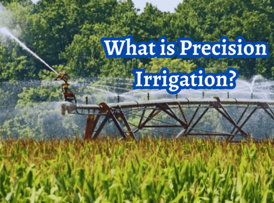 This precision irrigation helps your plants growth