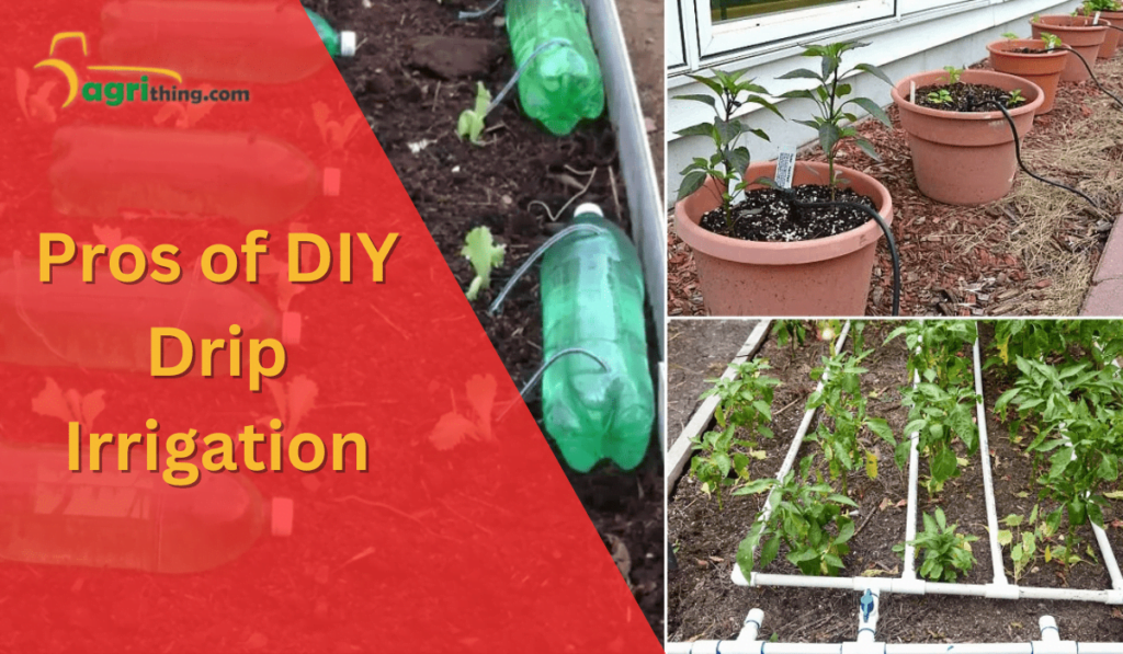 Easy DIY Drip Irrigation: Step-by-Step Guide - AgriThing.com