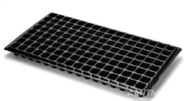 Seedling Tray – 200 Holes