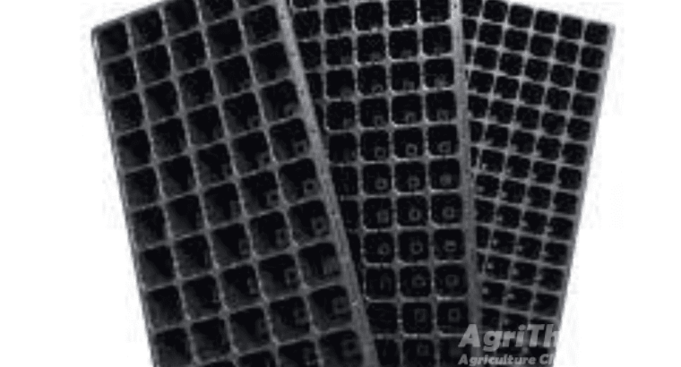 Seedling Tray – 200 Holes