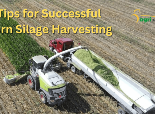 Corn Silage Harvesting: 10 Essential Tips for Successful Farming