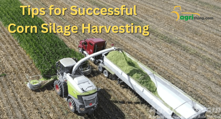 Corn Silage Harvesting: 10 Essential Tips for Successful Farming