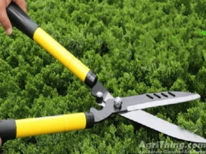 Tree Cutting Scissor ( plant cutting)