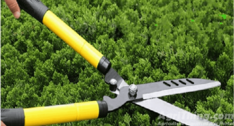 Tree Cutting Scissor ( plant cutting)