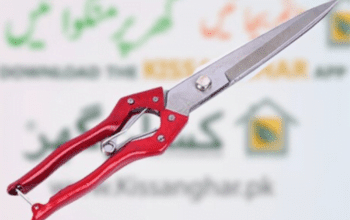 Garden Shears Craft Scissors