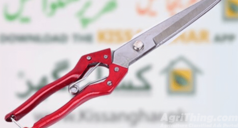 Garden Shears Craft Scissors