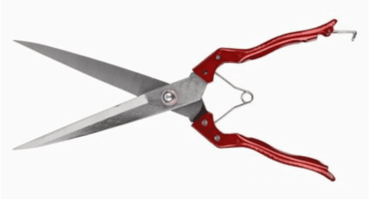 Garden Shears Craft Scissors