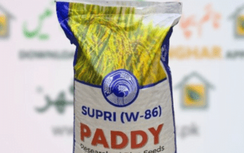 Supri Rice Seeds