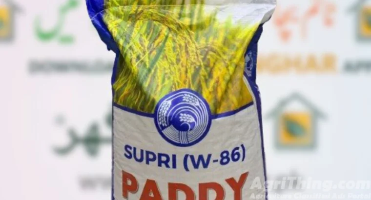 Supri Rice Seeds