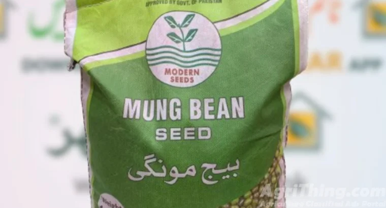 Moong Seed