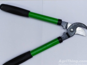 Green Scissor Gardening