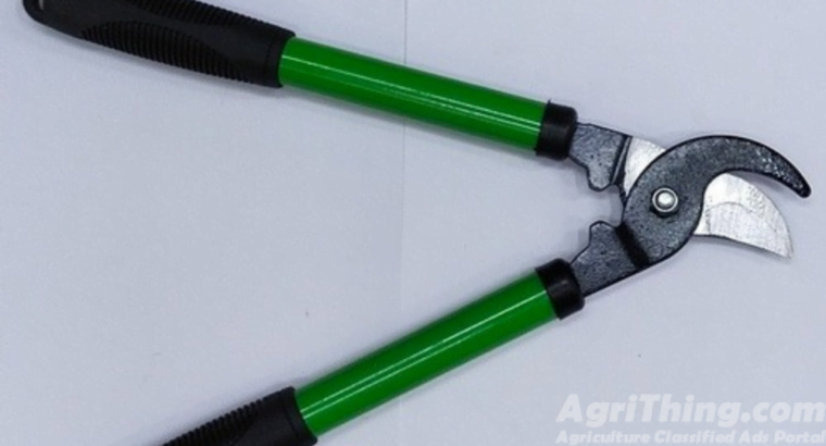 Green Scissor Gardening