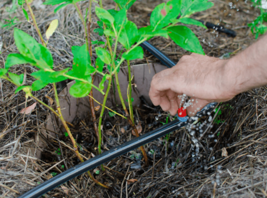 Efficient Water Conservation Tips: Empower Your Impact