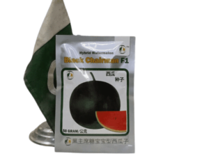 Watermelon Black Chairman 50g Seeds F1 Hybrid Imported Tarbooz Beej
