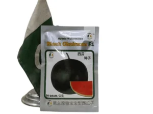 Watermelon Black Chairman 50g Seeds F1 Hybrid Imported Tarbooz Beej
