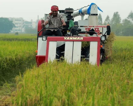 yanmar rice harvester machine