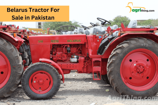 Belarus Tractor for Sale in Pakistan