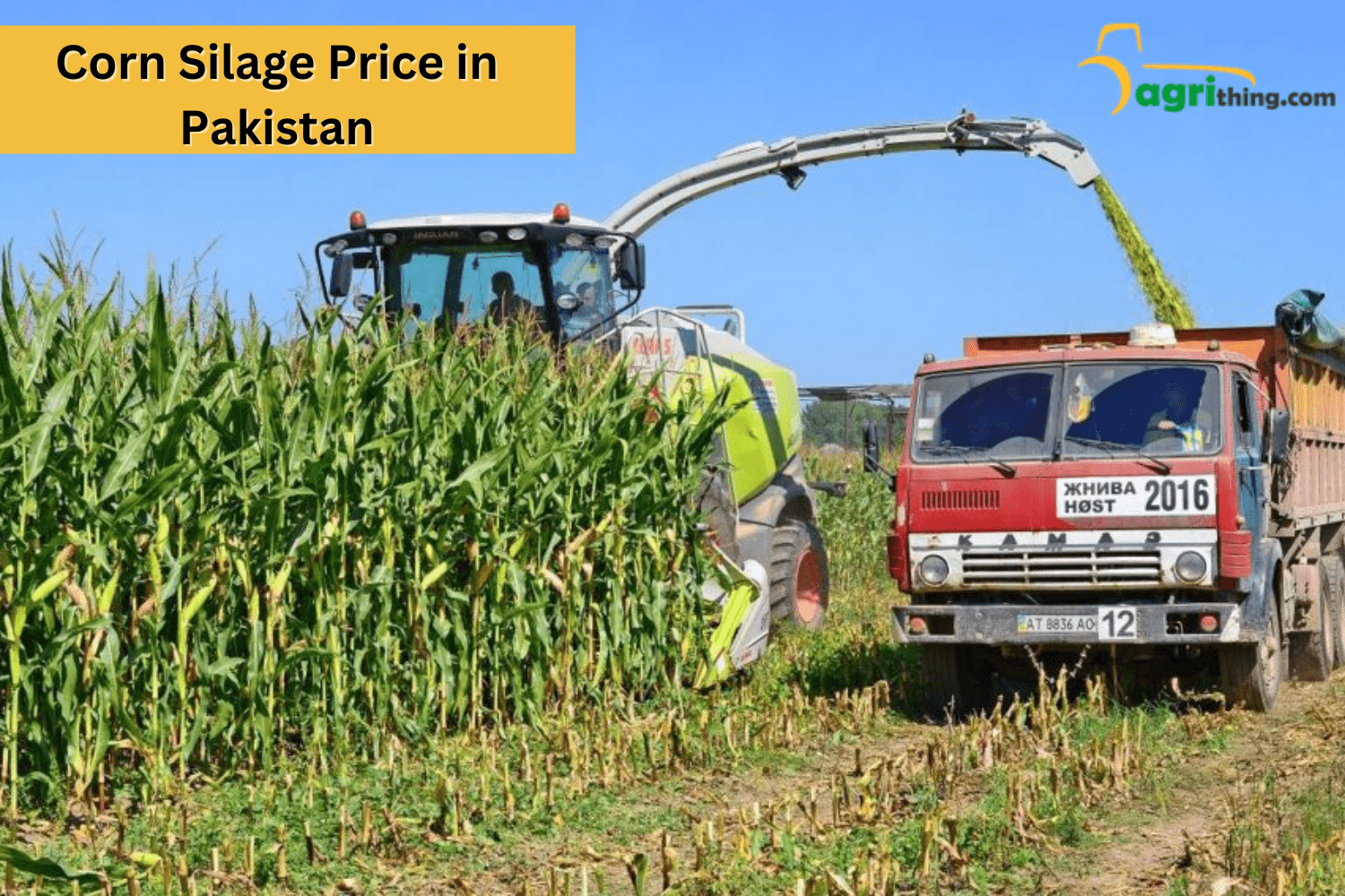 Silage Price In Pakistan A Comprehensive Guide