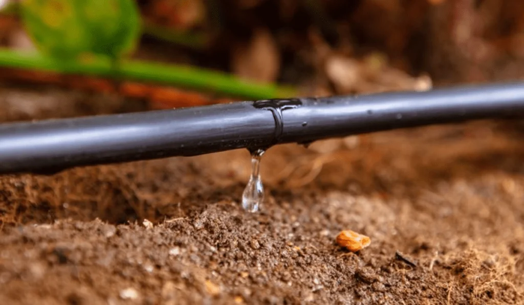 Traditional Watering Methods vs Drip Irrigation: Savings Unleashed 4 drip irrigation
