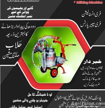 Milking Machine for Cow and Buffalo