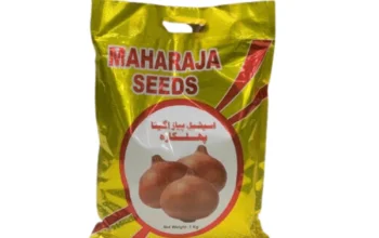 Onion Seed Phulkara 1kg Payaz Beej Maharaja Seeds