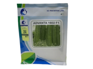 ridge gourd advantages