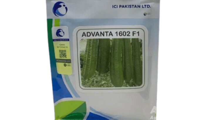 ridge gourd advantages