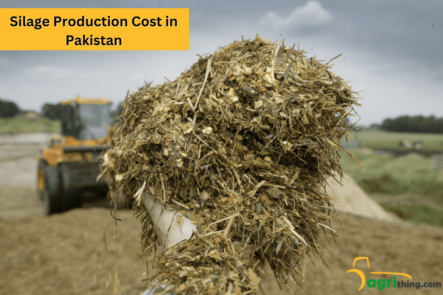 Silage Price In Pakistan A Comprehensive Guide