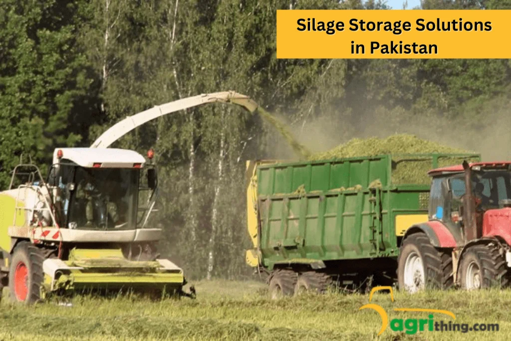 Silage Price In Pakistan: A Comprehensive Guide 10 Storage Solutions In Of Hay Silages In Pakistan