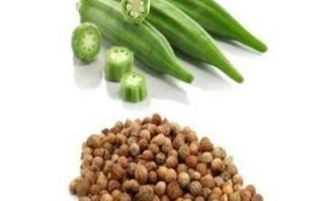 Smart Okra