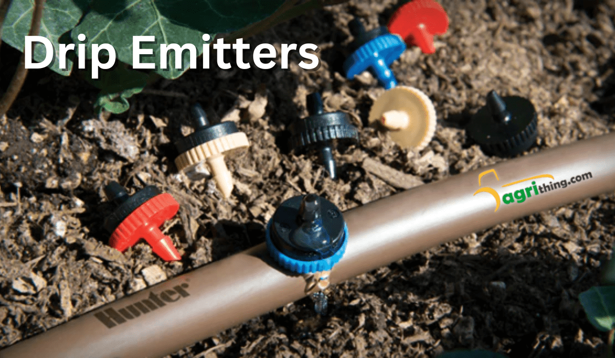 Drip Irrigation For Vegetable Gardens Best Practices