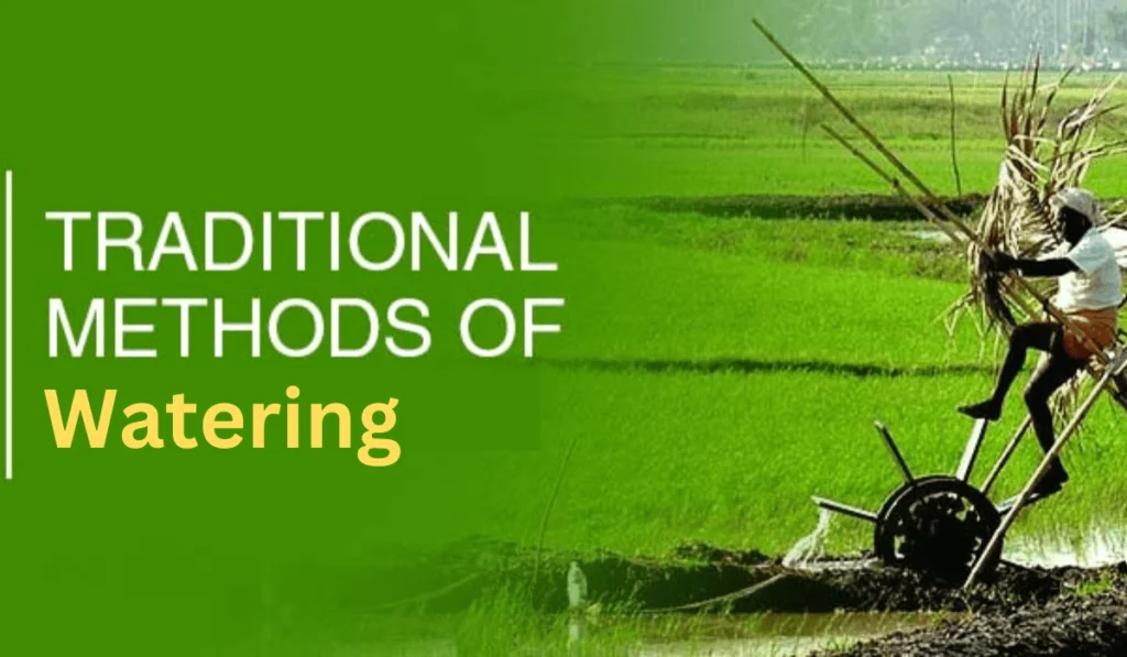 Traditional Watering Methods vs Drip Irrigation: Savings Unleashed 6 traditional watering methods