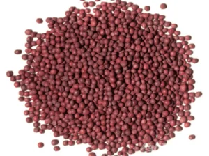 Turnip Purple Top White Globe 400gm Imported France Service Plus Agriculture Distributor Green Gold