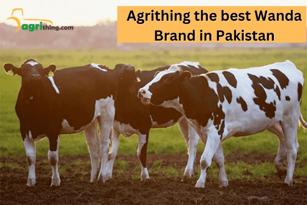 Wanda Price in Pakistan 3 wanda brands in pakistan