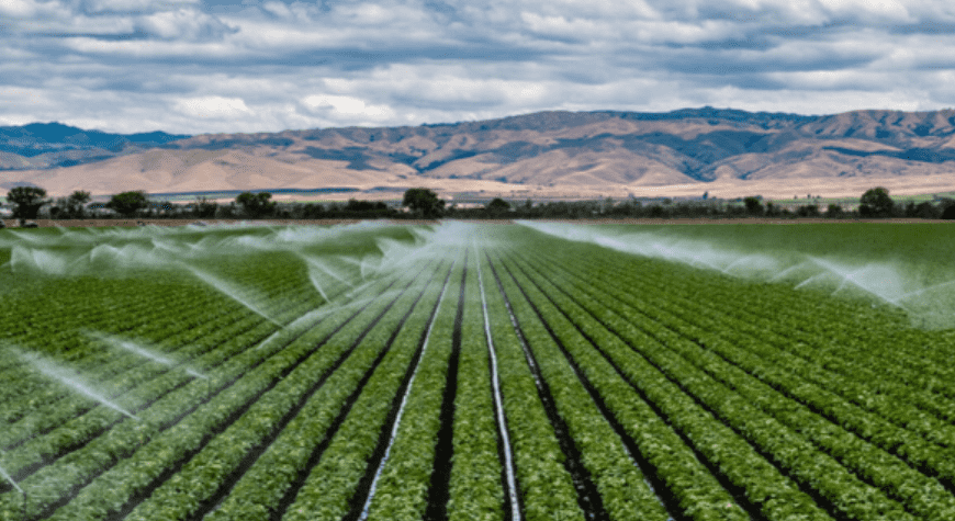 This precision irrigation helps your plants growth 7 Additional Tips for Effective Precision irrigation