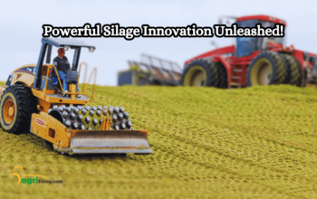 Corn Silage Inoculants: Best Practices