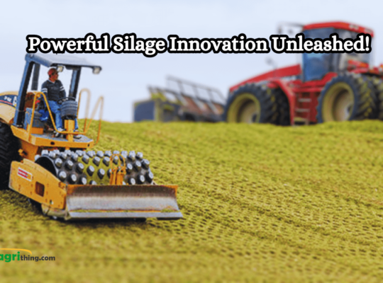 Corn Silage Inoculants: Best Practices