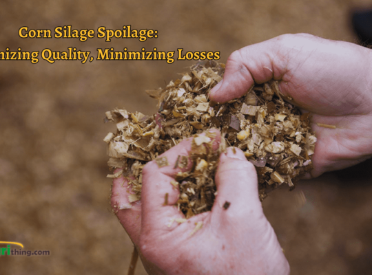 Preventing Corn Silage Spoilage: Expert Tips and Techniques