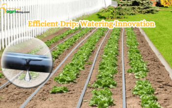 Essential Factors for Efficient Drip Line Irrigation