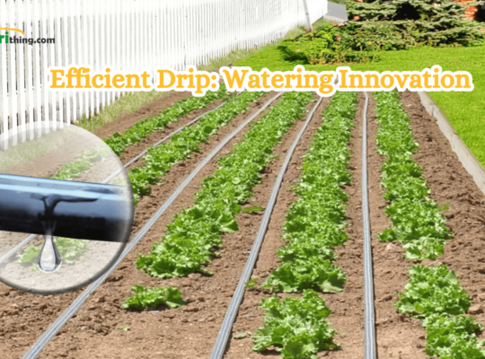 Essential Factors for Efficient Drip Line Irrigation