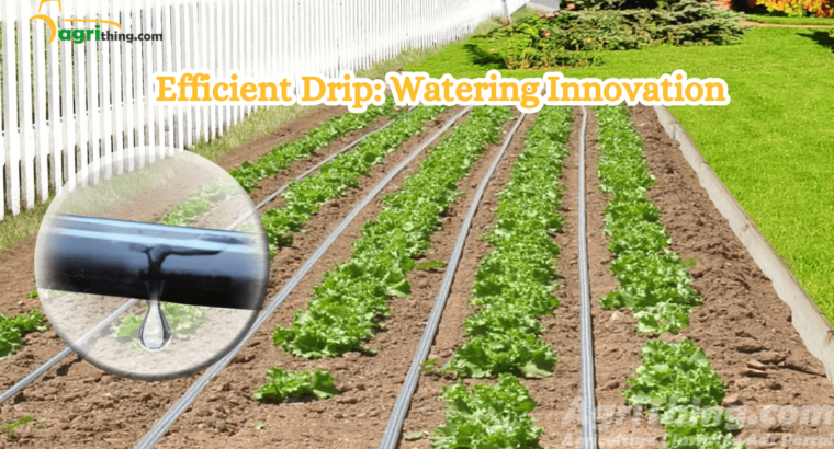 Essential Factors for Efficient Drip Line Irrigation