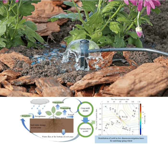 Low-flow Irrigation: Calculating Water Needs for Healthy Plants 4 Efficient Low flow irrigation scheduling