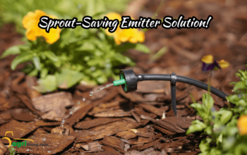 Unveiling Water-Saving Power: Emitter-Based Irrigation Myths Exposed