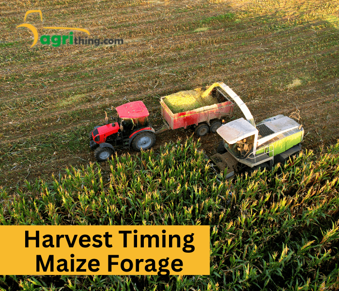 Harvest timing