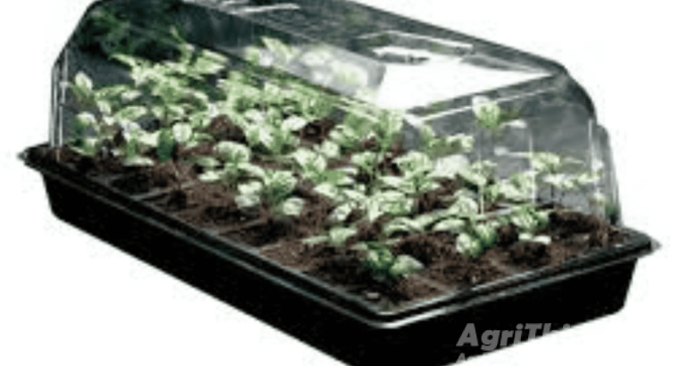 Hydroponic Seedling Tray 1pc