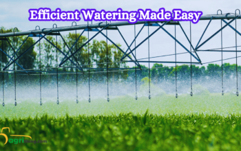 The Ultimate Guide to Optimal Irrigation Systems