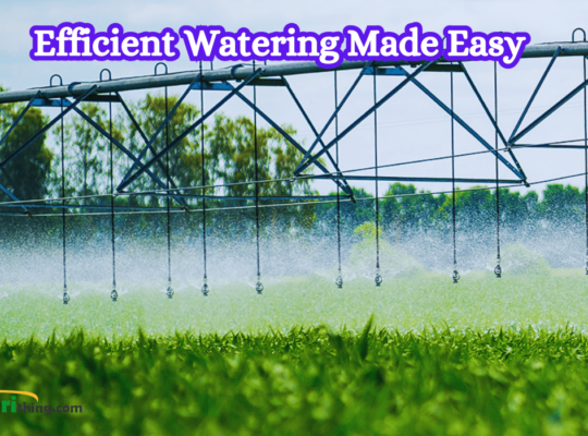 The Ultimate Guide to Optimal Irrigation Systems