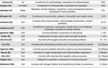 Maximize Nutrient Availability in Corn Silage: 7 Proven Techniques
